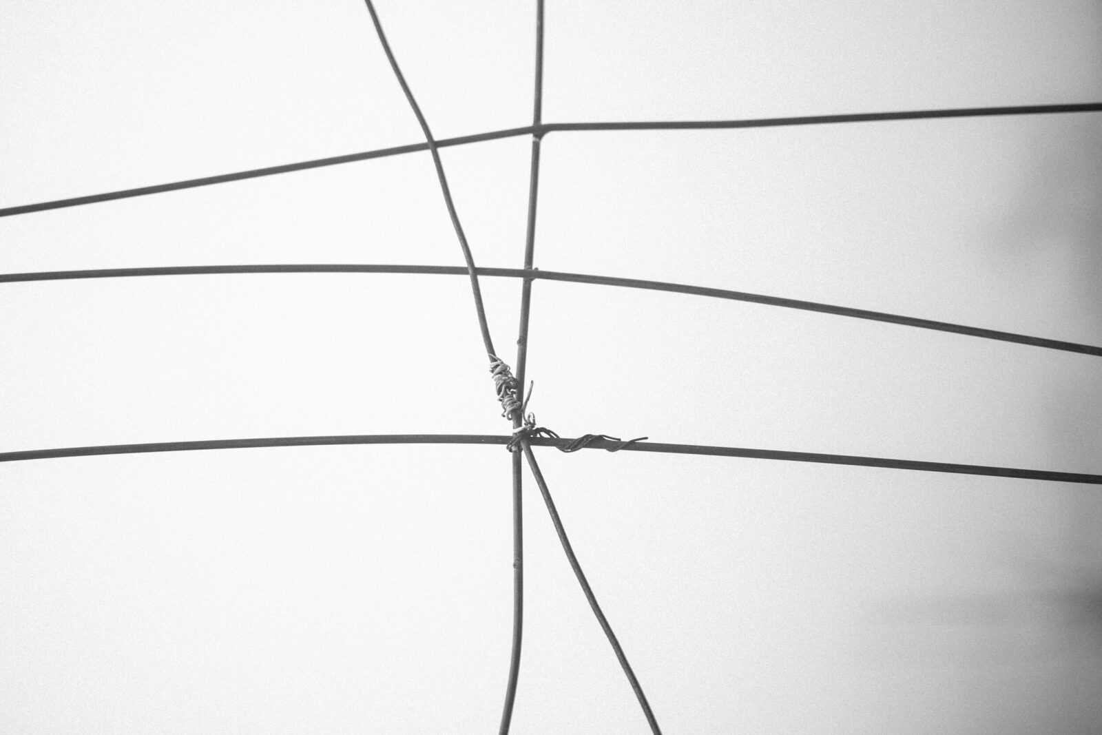 Label Under Construction by Luca Laurini