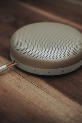 Bang & Olufsen Beosound A1 2ª Generación