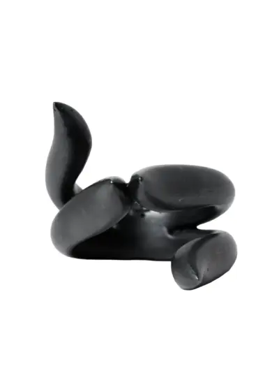 Parts of Four Tatius ring - Black