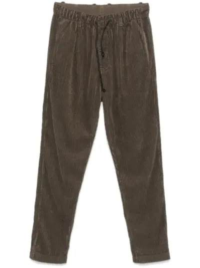 Transit corduroy trousers - Brown