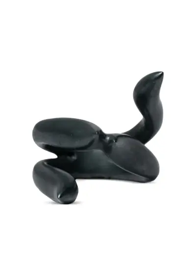 Parts of Four Tatius ring - Black