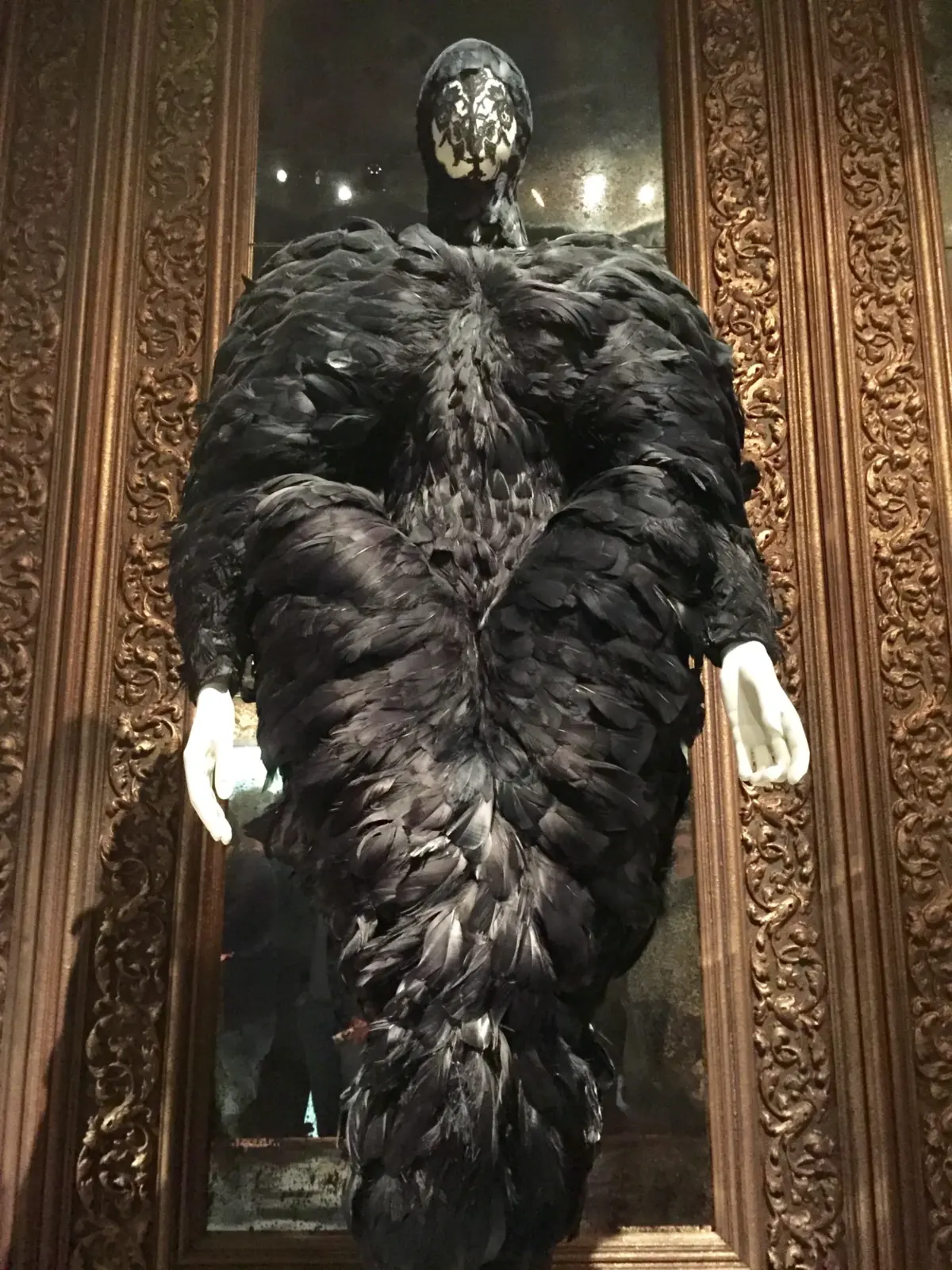 Alexander McQueen black duck feather gown from Autumn/Winter 2009 The Horn of Plenty exhibited at Savage Beauty
